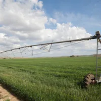 Fermierii vor putea beneficia de ajutor din partea statului în 2024. Sprijin pentru agricultură Foto: Profimedia Images (fotografie cu caracter ilustrativ)