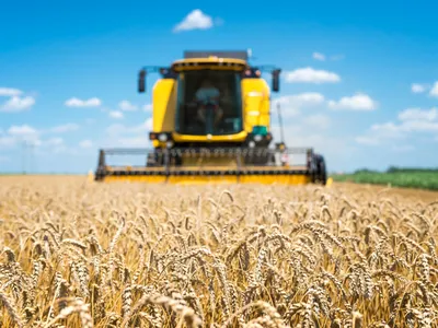 Agricultură Foto: Freepik (imagine cu rol ilustrativ)