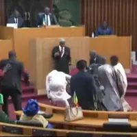 Doi deputați au fost condamnați la închisoare după ce au agresat o colegă în Parlament - FOTO: YouYube