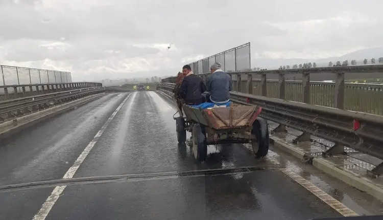 O căruță circula pe Autostrada 1, în apropiere de Sibiu / FB