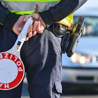 Austria impune controale - Foto: Profimedia Images