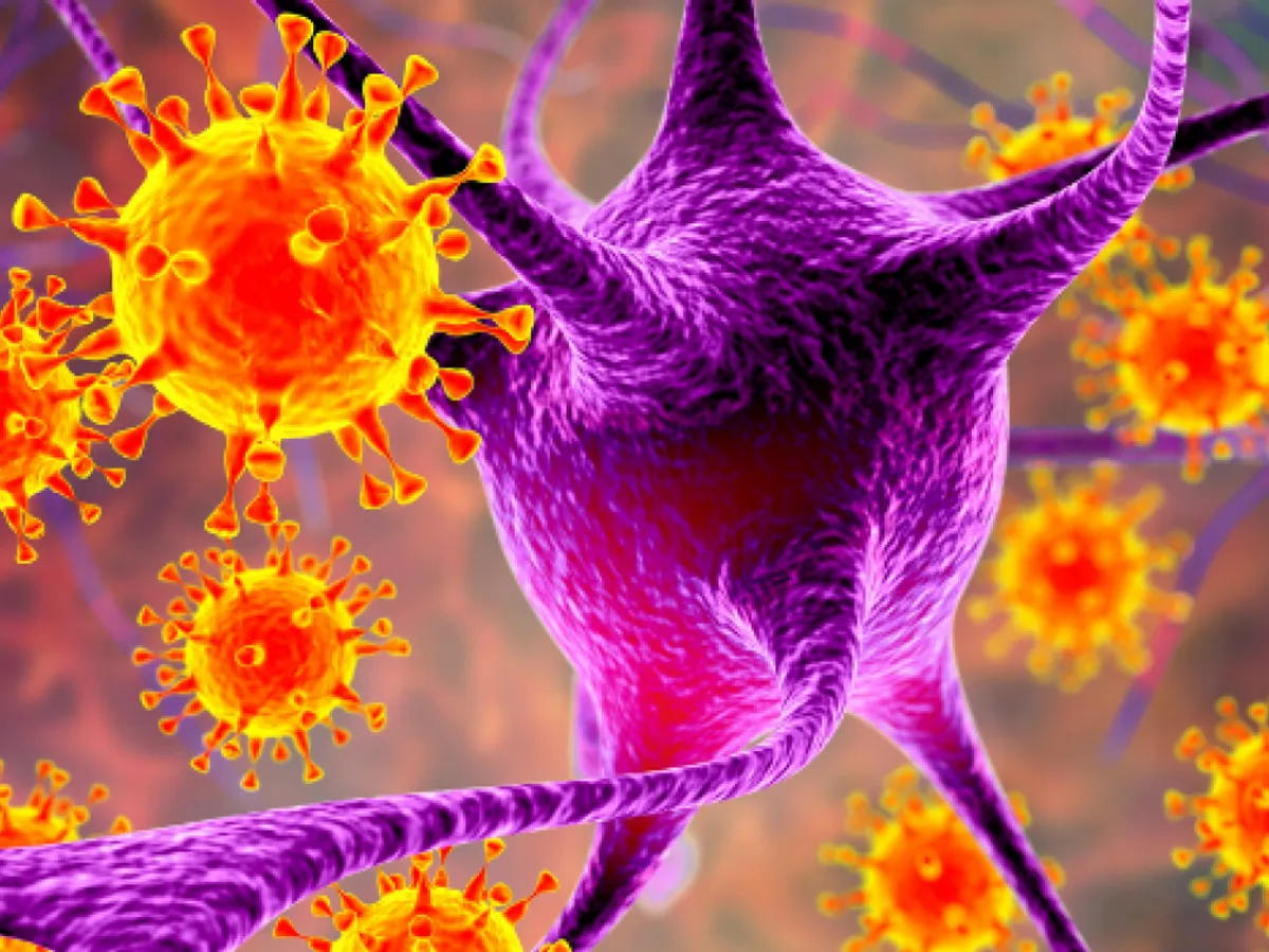 Cercetătorii americani au identificat un virus ca origine a sclerozei multiple. / Foto: geneproof.com