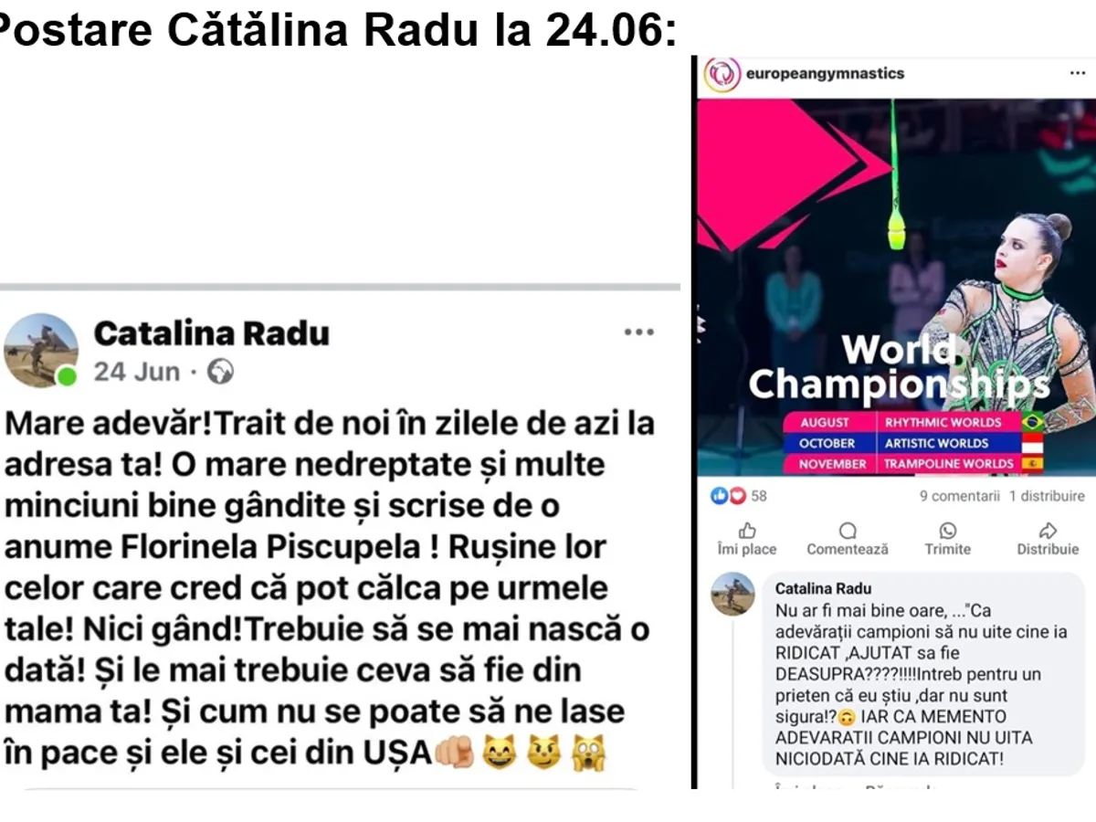 Comentariu Facebook Sursa: ARADS
