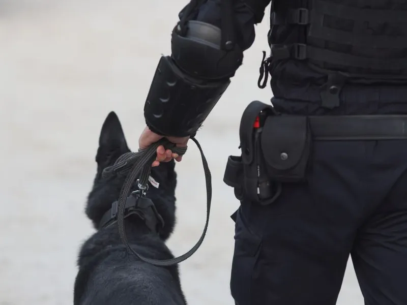 Jandarm cu câine de Poliţie, la Operaţiunea Jupiter - Foto: INQUAM PHOTOS/George Călin