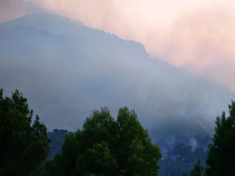 Circa 30 de hectare de vegetaţie şi stufăriş, cuprinse de un incendiu în Prahova - Foto: Profimedia Images (cu rol ilustrativ)