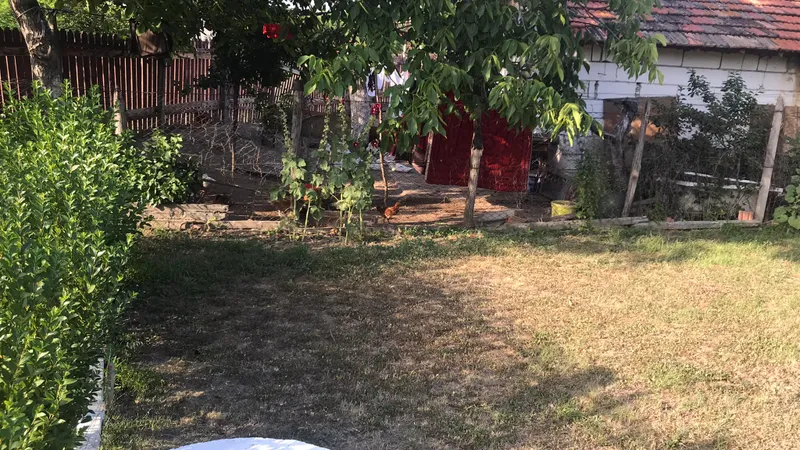 Un român nemulțumit de găinile vecinului - Foto: Facebook/ Mutat la țară- viața fără ceas