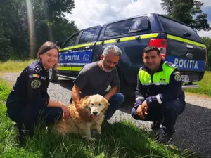 Un câine și-a regăsit stăpânii, cu ajutorul polițiștilor. Animalul dispăruse în urmă cu doi ani - Foto: opiniatimisoarei.ro