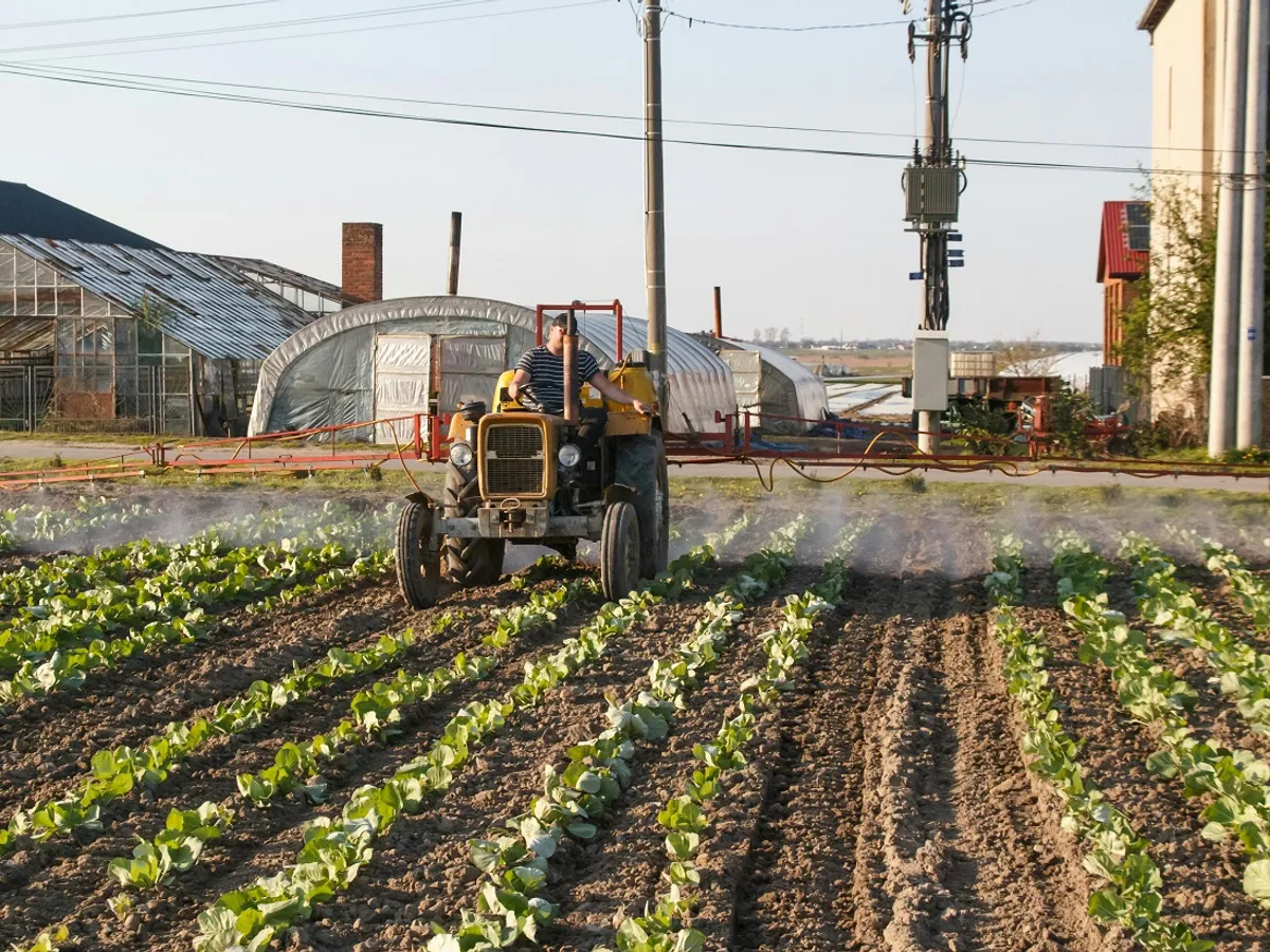 UE ia măsuri dure împotriva importurilor de culturi cu pesticide interzise pe piața europeană: FOTO - Pexels(imagine cu rol ilustrativ)