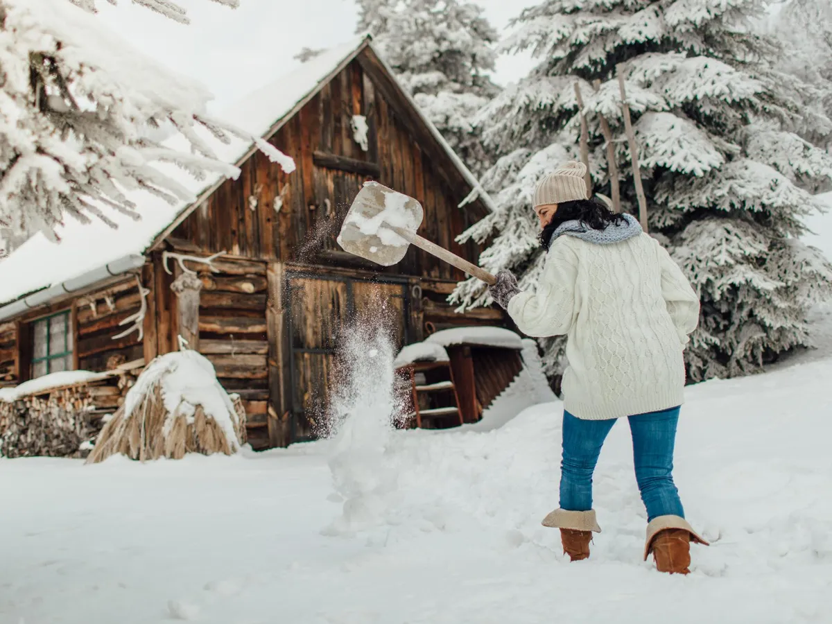 Grădina cu legume - Foto: Freepik