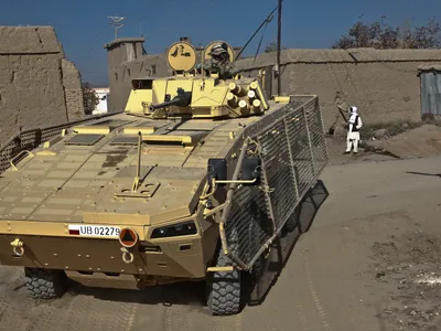 Armata poloneză - FOTO US Army