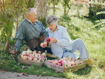 Pensionari Foto: Freepik (imagine cu rol ilustrativ)