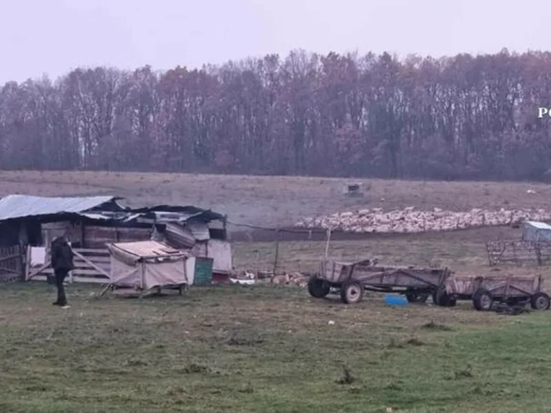 Copil de 13 ani vândut de părinți unui cioban. Are doar 3 clase, pentru că nu a mai mers la școală - Foto: Politia Romana