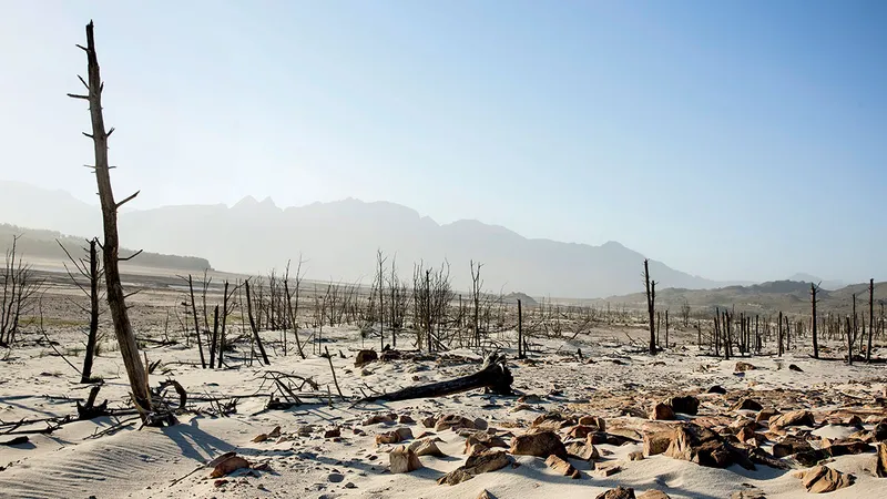 Barajul Theewaterskloof din Villiersdorp, Africa de Sud, în timpul secetei din februarie 2018