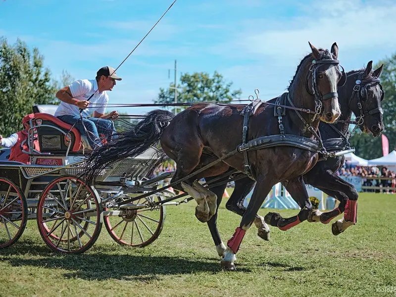 Foto: Ștefan Stoica & Bogdan Boeru