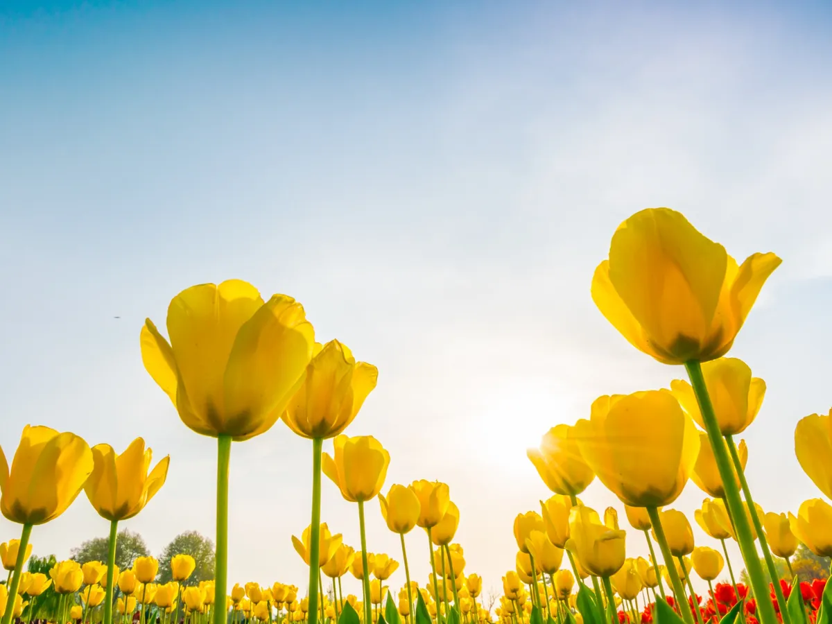 Marți temperaturile cresc spre normal în majoritatea regiunilor dar rămâne rece în nord și nord-est