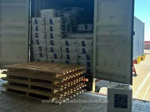 Descoperire de 8,2 milioane de lei în Portul Constanța. Ce a sosit din Olanda? - Foto: Politia de Frontiera