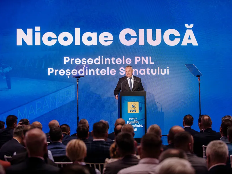 Nicolae Ciucă:  Cu PSD și AUR la guvernare, România va intra în 2025 în criză economică - Foto: FB