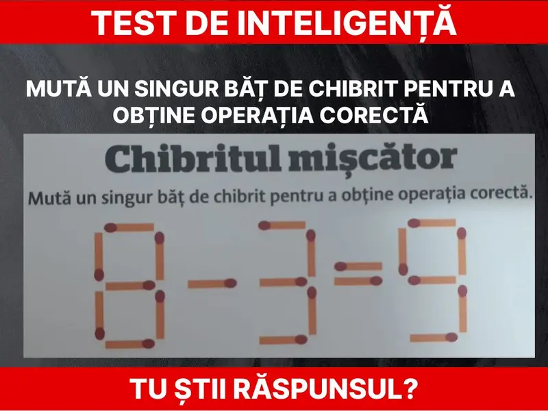 Test de inteligență. Chibritul mișcător Foto: Daniel Toșa