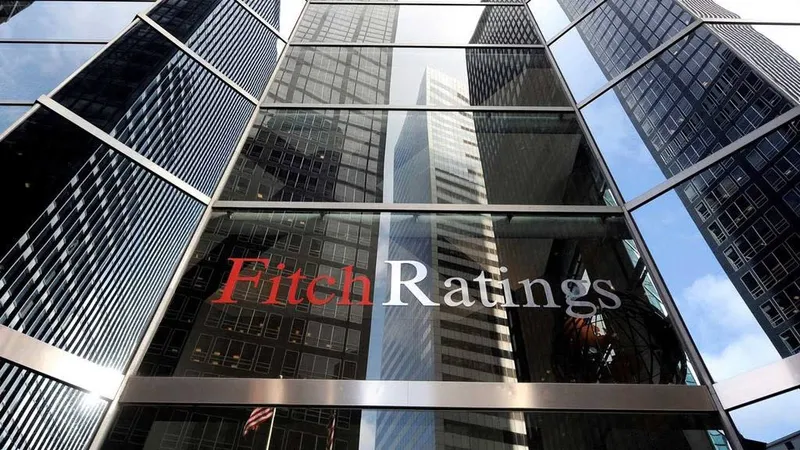 Fitch a confirmat rating-ul României la ''BBB minus'', cu perspectivă negativă. /Foto: iib.int