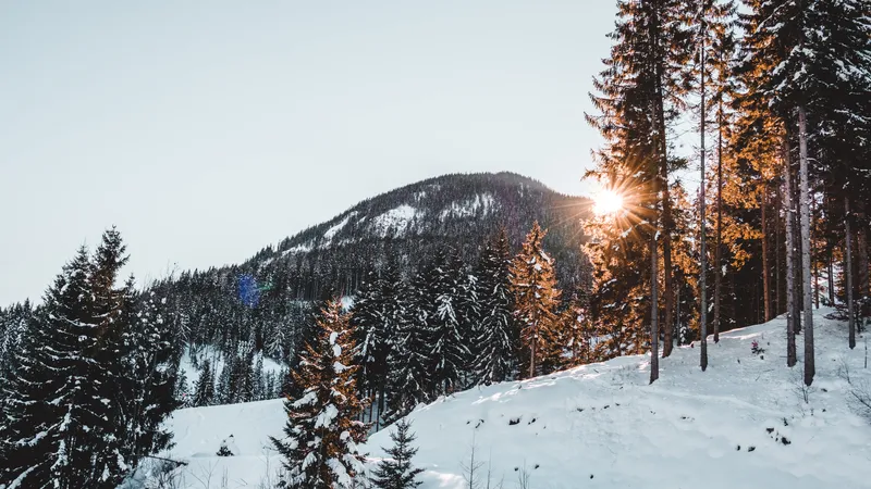 Stațiune montană- Foto: PEXELS PHOTOS