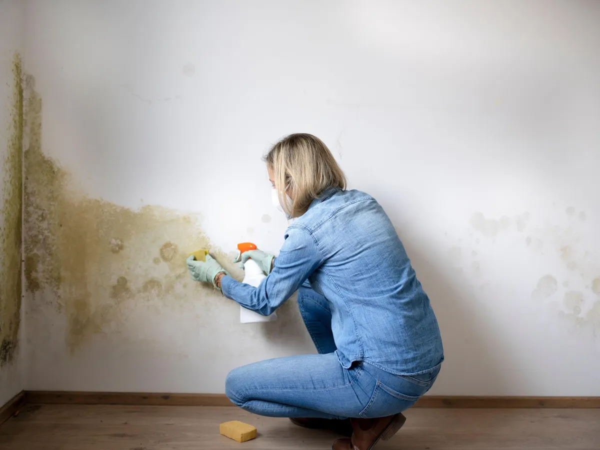 Ce produs, care costă doar 10 lei, te poate scăpa de mucegaiul din baie și camere? Este 100% natural - Foto: Profimedia Images