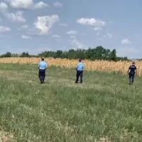 Un bărbat a fost ucis de urs, în Mureș. Polițiștii l-au găsit mort, pe câmp - Foto: IPJ