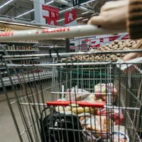 Prețurile mondiale la alimente au atins un nou vârf al ultimilor zece ani/FOTO: Unsplash