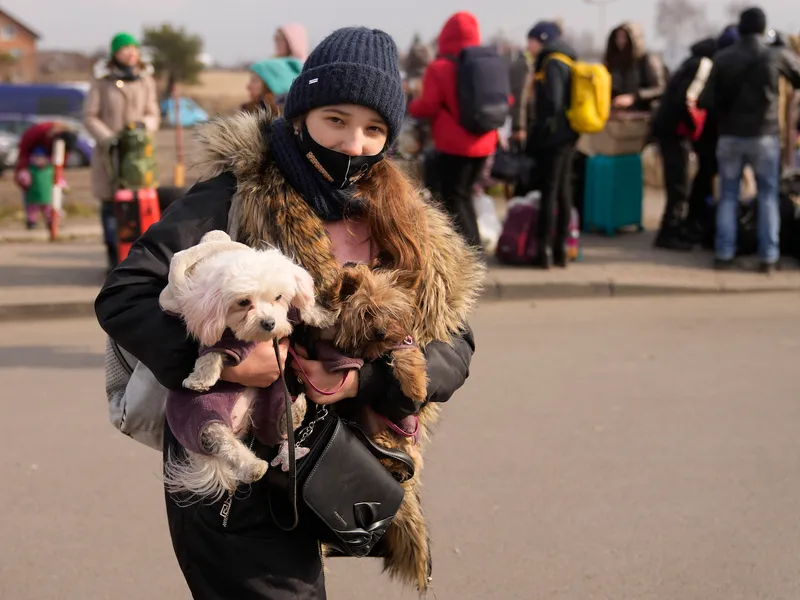 Ucrainenii fug din bătaia bombelor lui Putin și își salvează și prietenii necuvântători. /Foto: abc7chicago.com