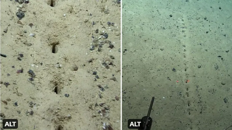 Un aliniament de găuri ciudate, ce par făcute de om, au fost descoperite pe fundul Atlanticului/foto: NOAA Ocean Exploration