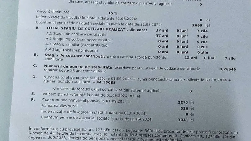 Prima decizie pensie Foto: captură
