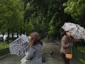 În ce regiuni este cod galben de vânt puternic. Poate să rupă copacii - Foto: INQUAM PHOTOS/Octav Ganea