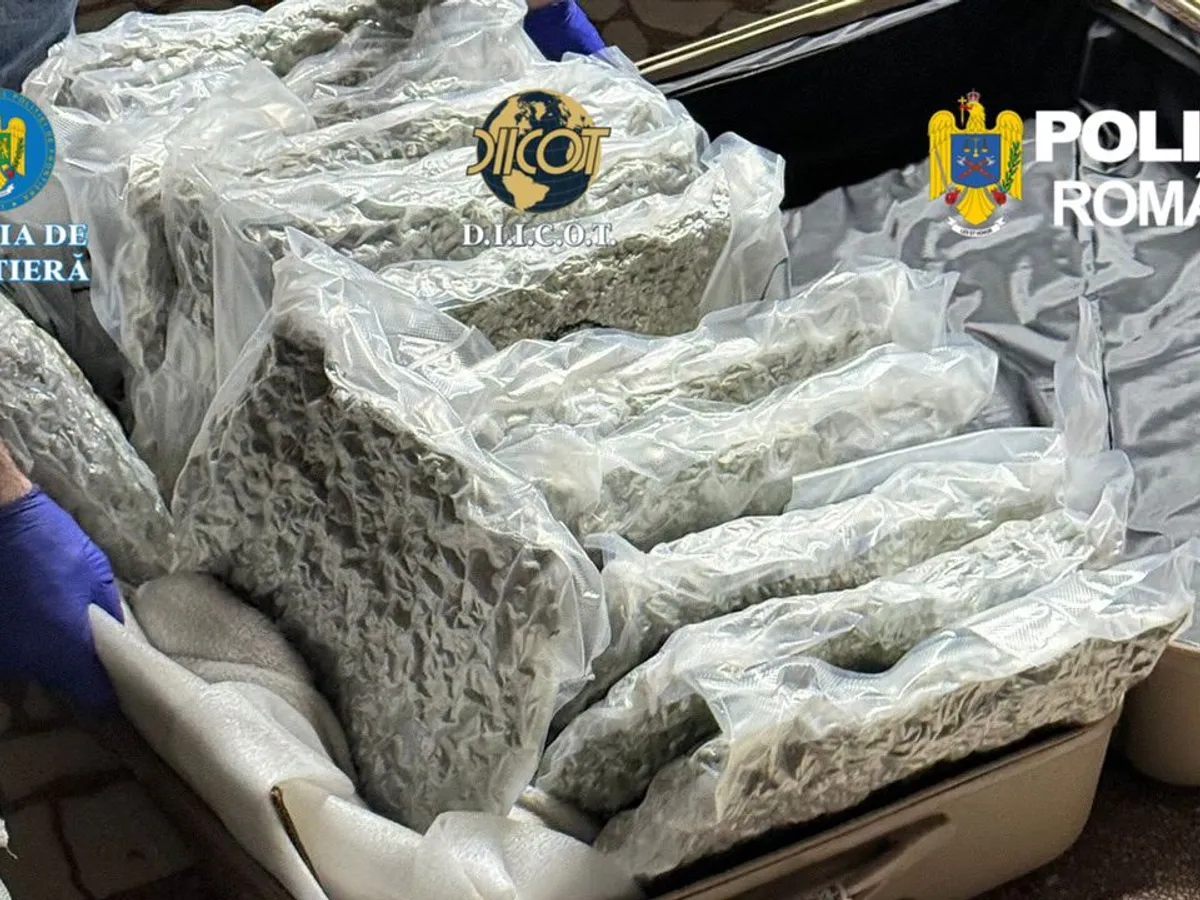 Cum a încercat un italian să aducă 30 kg de canabis în România? Nu-și imagina că va fi controlat