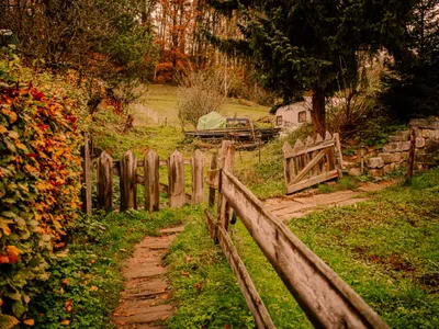 Alee curte toamna - Foto: Pexels (Imagine cu rol ilustrativ)