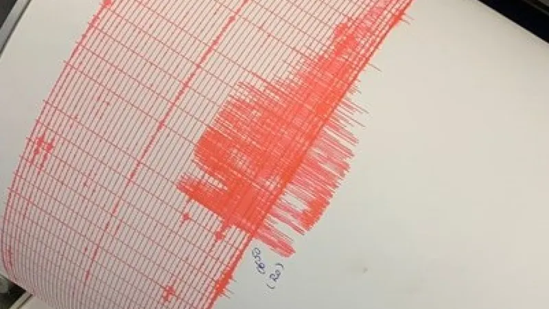 Pământul s-a cutremurat din nou în România. Pentru a cincea oară în ziua de sâmbătă - Foto: Facebook/ INCDFP