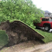 Furtuni violente, în estul Canadei: cel puțin 4 morți și 900.000 de imobile fără electricitate. / Foto: cbc.ca
