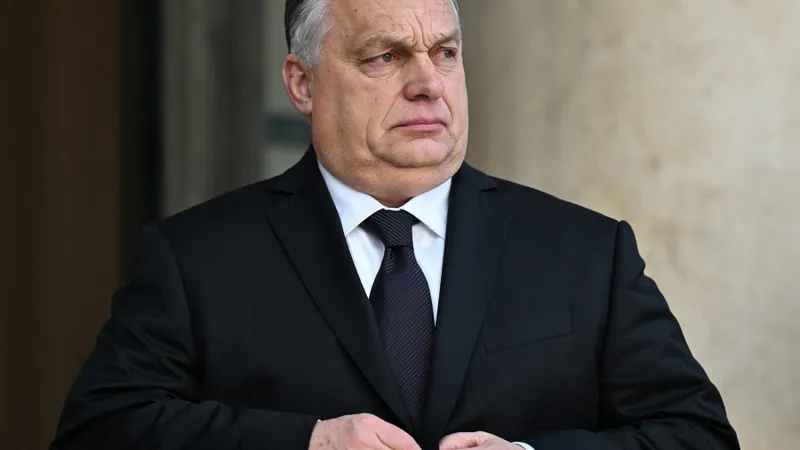 Cum e șantajată UE de Viktor Orban - Foto: Profimedia Images (imagine cu caracter ilustrativ)