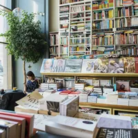 De ce nu se citește în România? 8.000 de biblioteci închise, 2.500.000 cărți distruse după Revoluție - Foto: Pexels / Ksenia Chernaya (Imagine cu rol ilustrativ)
