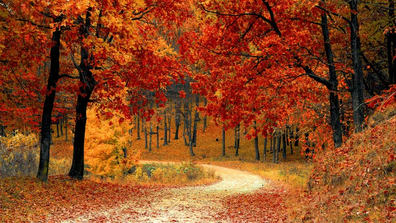 VREMEA Temperaturile vor scădea drastic la începutul lunii septembrie. Vor fi diferențe enorme Foto: Pexels (fotografie cu caracter ilustrativ)