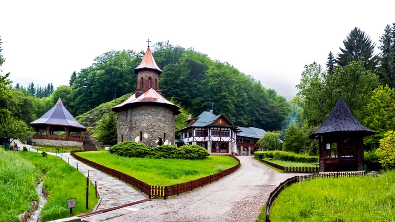 A murit Maica Pavelida, discipola lui Arsenie Boca. Doliu la Mănăstirea Prislop Foto: Facebook/ Mănăstirea Prislop