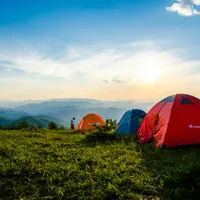 Copiii de la un club de cercetași au ajuns în spital după ce au mâncat într-un camping în Buzău Foto: Pexels (fotografie cu caracter ilustrativ)