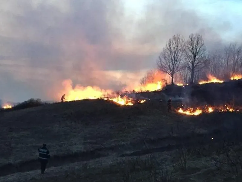 Incendii de vegetație/ Foto: Facebook ISU Gorj