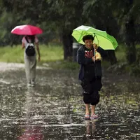 Județele din România care se află sub cod galben de vijelii și ploi puternice. Ce zone sunt vizate? - Foto: ANM / imagine cu rol ilustrativ