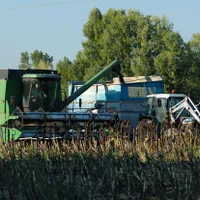Agricultură, imagine cu caracter ilustrativ - Foto: Profimedia