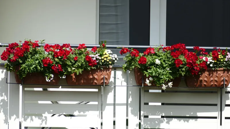AMENDĂ de 1.500 de lei pentru românii care stau la bloc și au flori în balcon. Pot face închisoare - Foto: Freepik (imagine cu rol ilustrativ)
