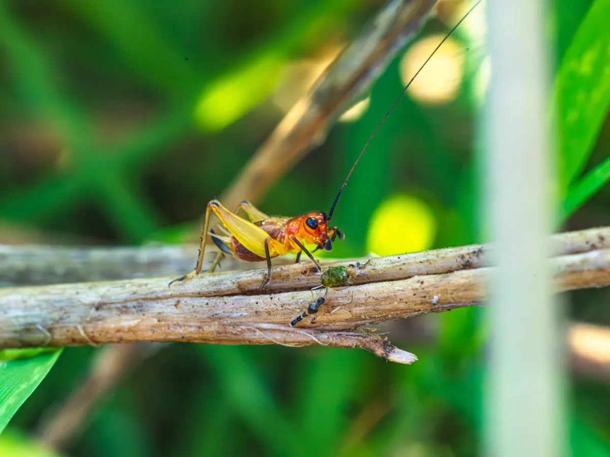 Greiere Foto: Pexels (imagine cu rol ilustrativ)