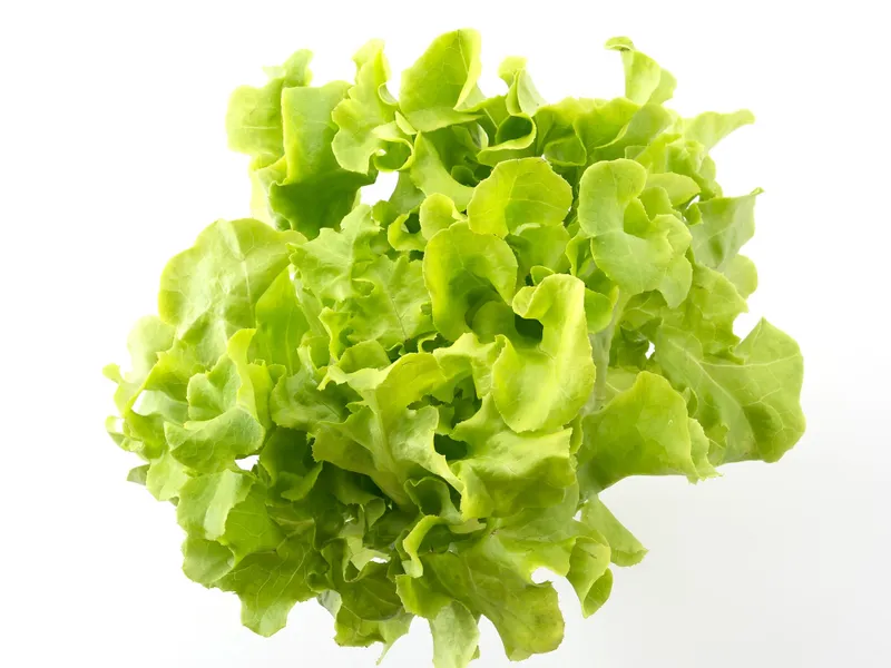 Leguma cu „părul creț” din grădină care te ajută să slăbești. Conține tone de vitamine - Foto: Freepik (imagine cu rol ilustrativ)