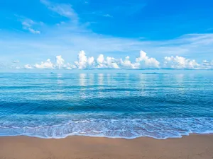 Acidifierea oceanelor, un impact negativ asupra mediului. „Geamănul malefic” al crizei climatice Foto: Freepik (fotografie cu caracter ilustrativ)