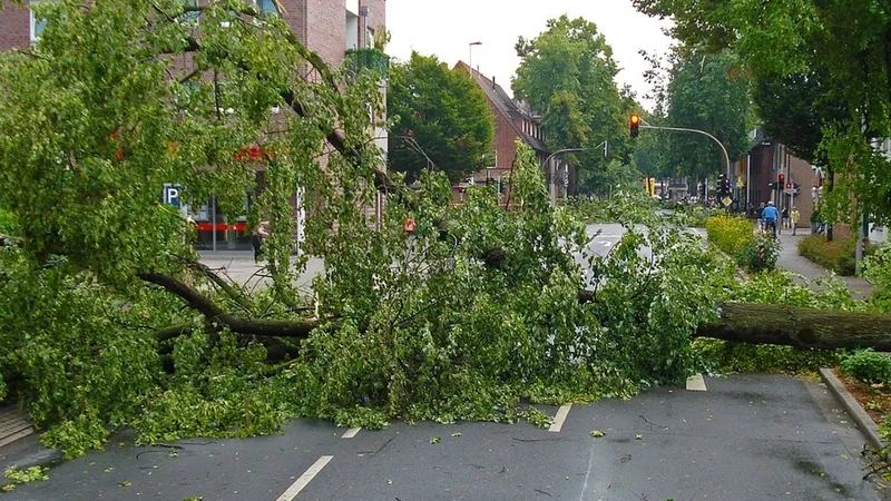 RO-ALERT în București: averse, ploi torențiale și intensificări ale vântului. Ce se întâmplă acum - Foto: Pixabay(imagine cu rol ilustrativ)