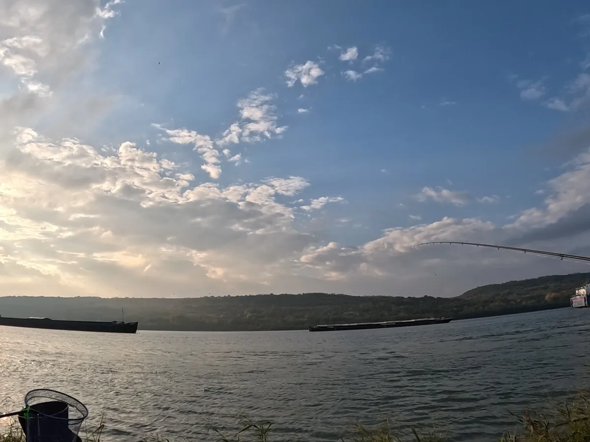 Dunăre - Foto: PCF Fishing