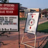 Specialiștii au făcut prima pastilă împotriva febrei dengue. Rezultate bune, în testele pe oameni - Foto: Profimedia Images